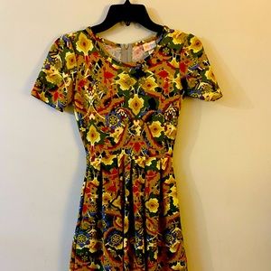 LuLa Roe dress with pockets and a zipper back